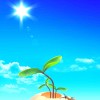 Sunny