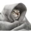 颜上天