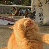 高****阿