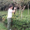 https://q.qlogo.cn/qqapp/101260148/14E480543C88ACCD09D2EB741B872709/100