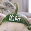 https://q.qlogo.cn/qqapp/101260148/38D4AC7250C28D3178D161424F32499F/100