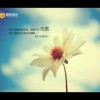 用户16953596