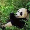 407141071@qq.com