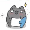 2509673701@qq.com