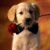 997010124@qq.com