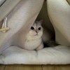 2627940425@qq.com