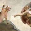 1300247885@qq.com