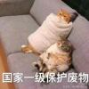 3038653138@qq.com