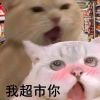 2814911659@qq.com