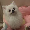 128991771@qq.com