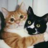 525860982@qq.com