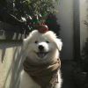 3307508958@qq.com