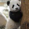 850682651@qq.com