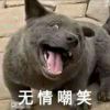 15601044634@163.com