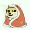 1056928557@qq.com