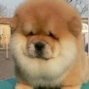 1962528853@qq.com