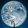 2234622208@qq.com