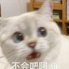 1945020091@qq.com