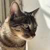1139596146@qq.com