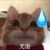 570286039@qq.com