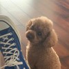 2389420803@qq.com