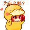 1359707368@qq.com