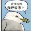 1357991483@qq.com