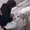 2012059667@qq.com