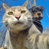 2753543741@qq.com