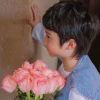 1729050267@qq.com
