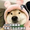 2427952839@qq.com