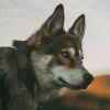 1029692375@qq.com