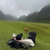 398529826@qq.com
