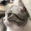 qq1092536146