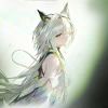 764745404@qq.com
