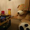 2277525419@qq.com