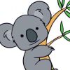 1208180955@qq.com