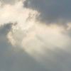 1142550426@qq.com