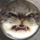 我是坏蛋！！！