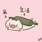 落齐