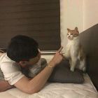 触手tv-小朕 房号63191766