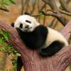 囧 飞天火龙的个人空间