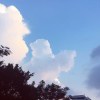 AileenLin的钢琴谱
