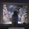 阿南