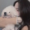 点丶欣儿的钢琴谱