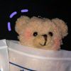 茉莉花的演奏视频