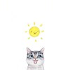 大脸猫/。Ao°