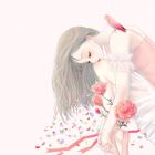 樱花雨道