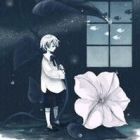 进轩先森