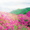 青山依